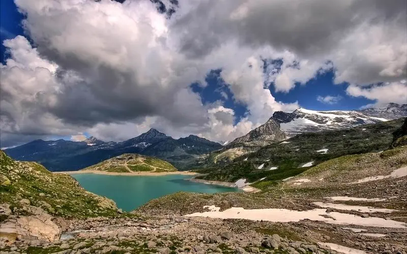 高效自动化全自动